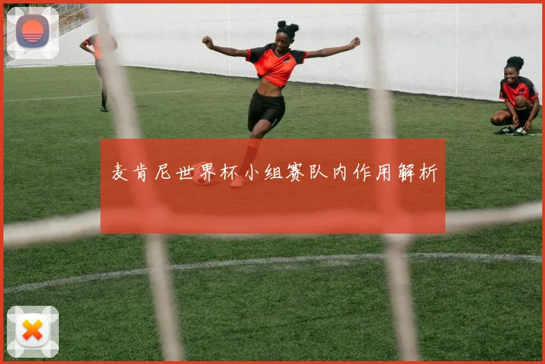 麦肯尼世界杯小组赛队内作用解析