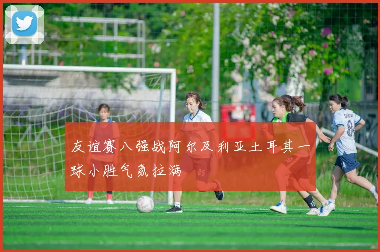 友谊赛八强战阿尔及利亚土耳其一球小胜气氛拉满