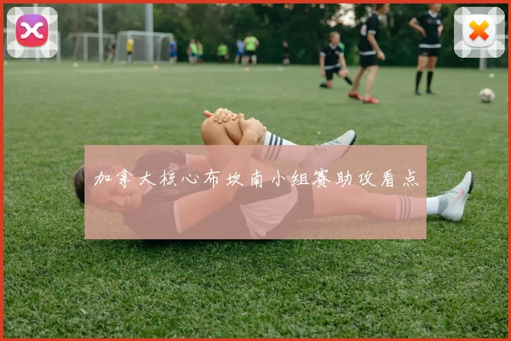加拿大核心布坎南小组赛助攻看点