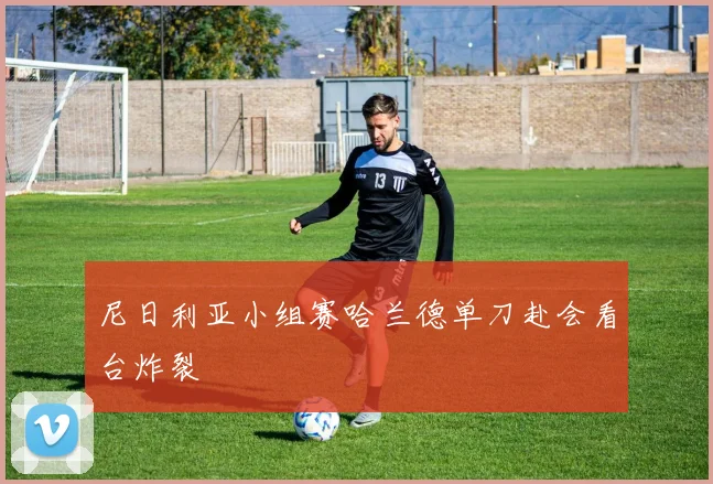 尼日利亚小组赛哈兰德单刀赴会看台炸裂