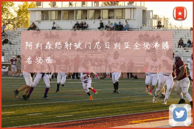 阿利森怒射破门尼日利亚全场沸腾名场面