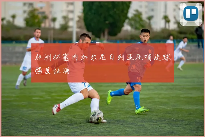 非洲杯塞内加尔尼日利亚压哨进球强度拉满