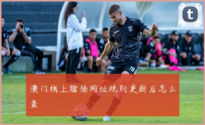 澳门线上赌场网址规则更新后怎么查