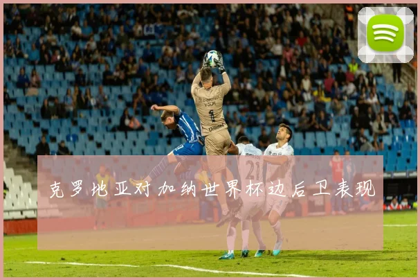 克罗地亚对加纳世界杯边后卫表现